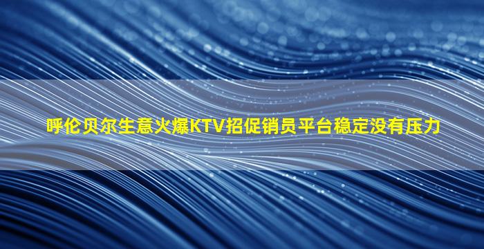 呼伦贝尔生意火爆KTV招促销员平台稳定没有压力